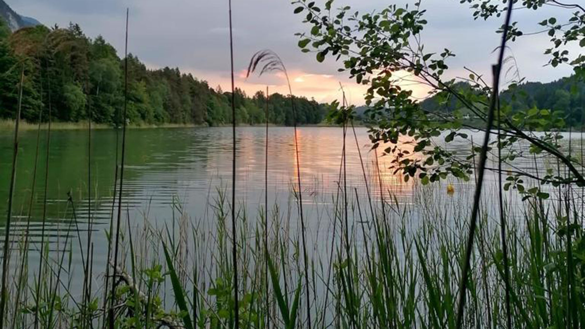 Bergsee mit Schilf bei Sonnenuntergang