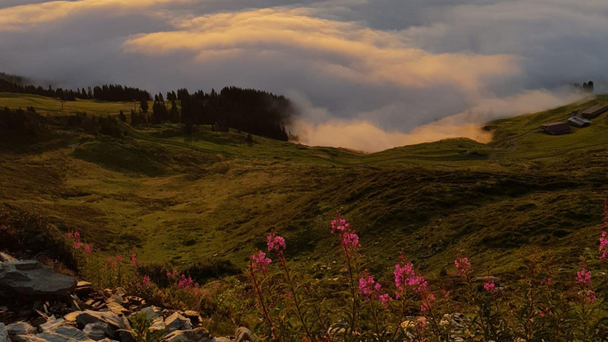 Aussicht über Wolkenmeer